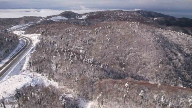 Zonguldak-i̇stanbul Karayolunda Kazalar Peş Peşe Geldi