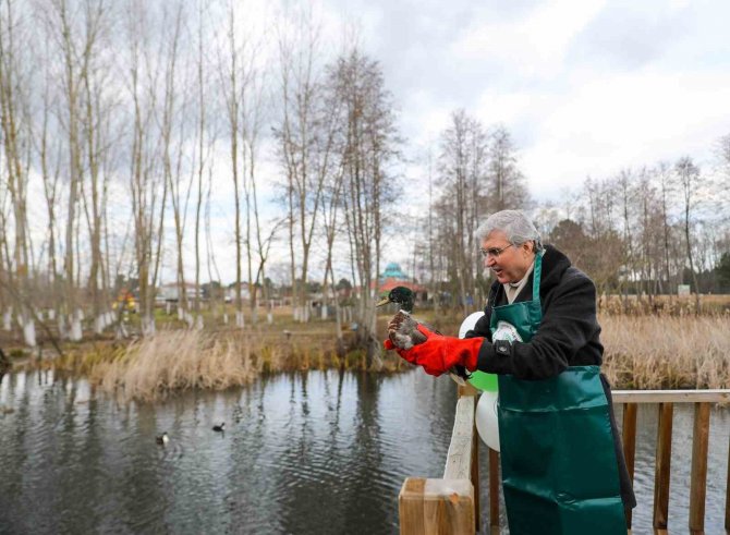 Dünya Sulak Alanlar Günü, Doğa Harikası Acarlar Longozu’nda Kutlandı