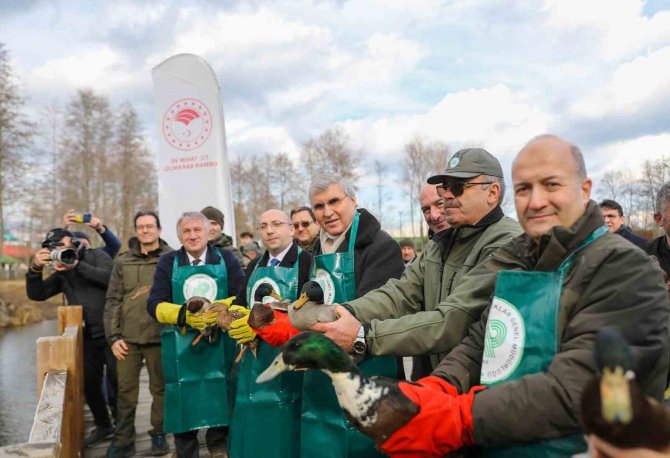 Dünya Sulak Alanlar Günü, Doğa Harikası Acarlar Longozu’nda Kutlandı