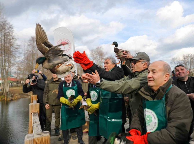 Dünya Sulak Alanlar Günü, Doğa Harikası Acarlar Longozu’nda Kutlandı