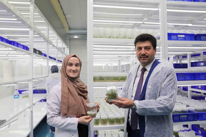 Subü’de Güz Yarıyılında Bin 323 Öğrenci İş Deneyimi Kazandı