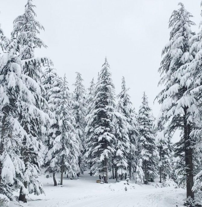 Orman Beyaz Gelinliği İle Mest Etti