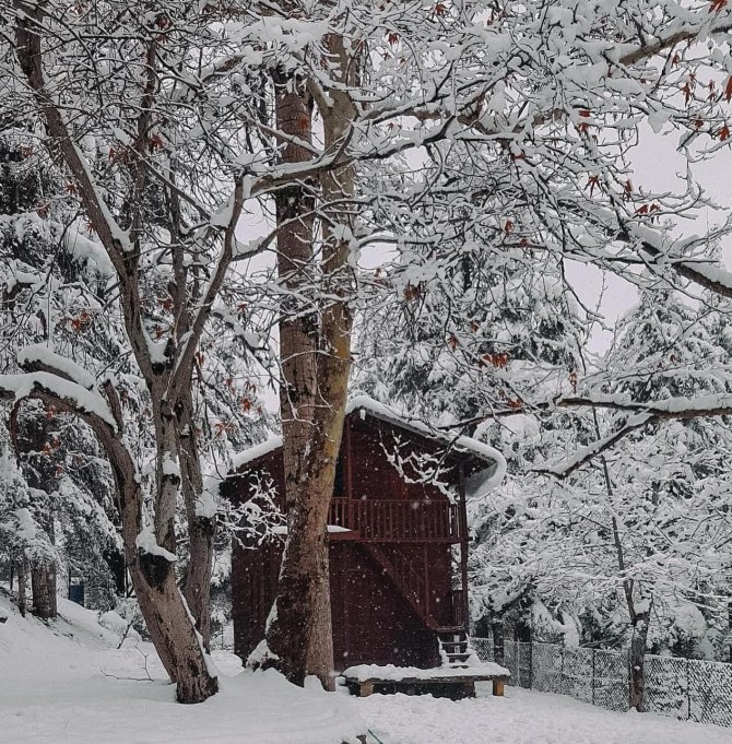 Orman Beyaz Gelinliği İle Mest Etti