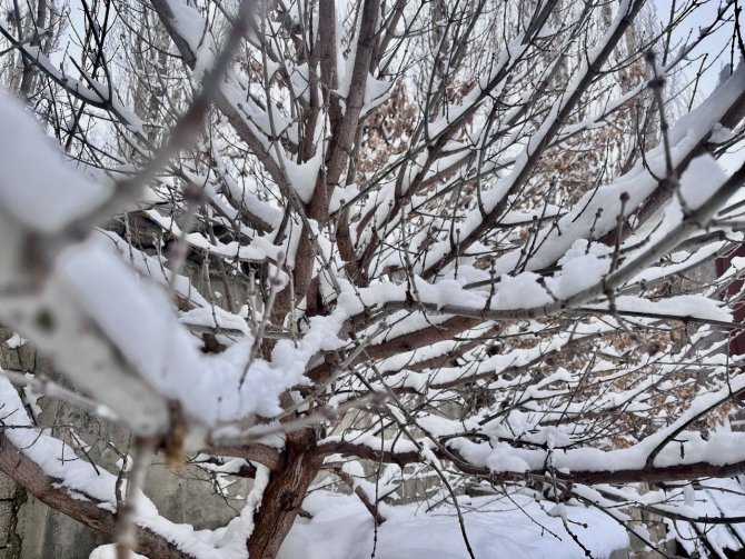 Ağrı’da Kış Manzarası Göz Kamaştırıyor