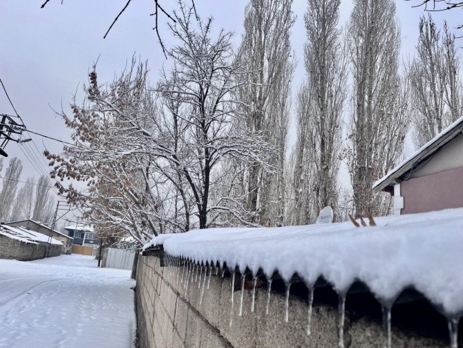 Ağrı’da Kış Manzarası Göz Kamaştırıyor