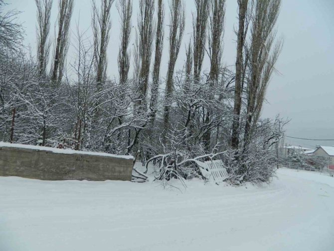 Posof’ta Kar Esareti