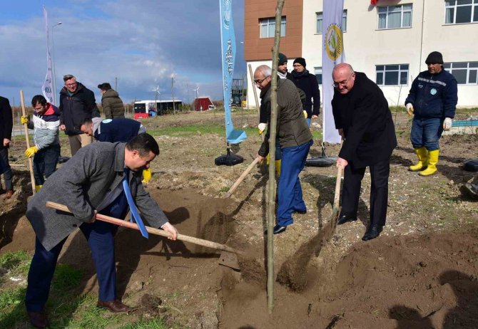 Balıkesir Üniversitesinde Fidan Dikim Etkinliği Gerçekleştirildi