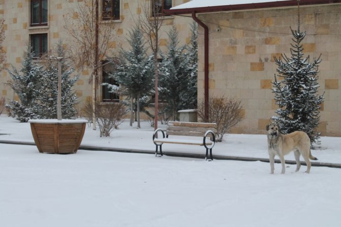 Bayburt’ta Beklenen Kar Dondurucu Soğukla Birlikte Geri Geldi