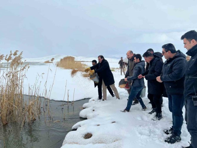 Çaldıran’da Yaban Hayvanları İçin Yemleme Çalışması Yapıldı