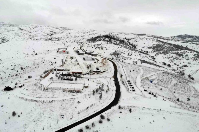 Karın Keyfini Dinek Dağı’nda Çıkardılar