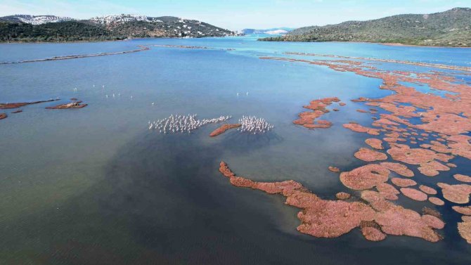 Dünyadaki Sulak Alanların Yüzde 35’i 50 Yılda Yok Oldu