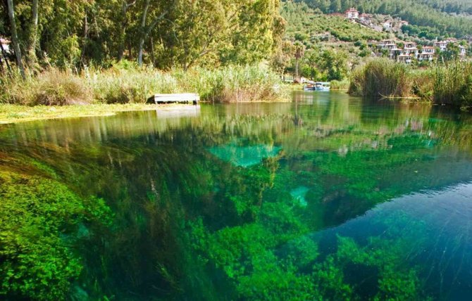Dünyadaki Sulak Alanların Yüzde 35’i 50 Yılda Yok Oldu