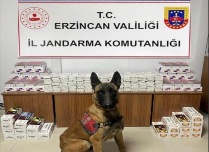 Erzincan’da Jandarmadan Kaçakçılık Olaylarına Geçit Yok