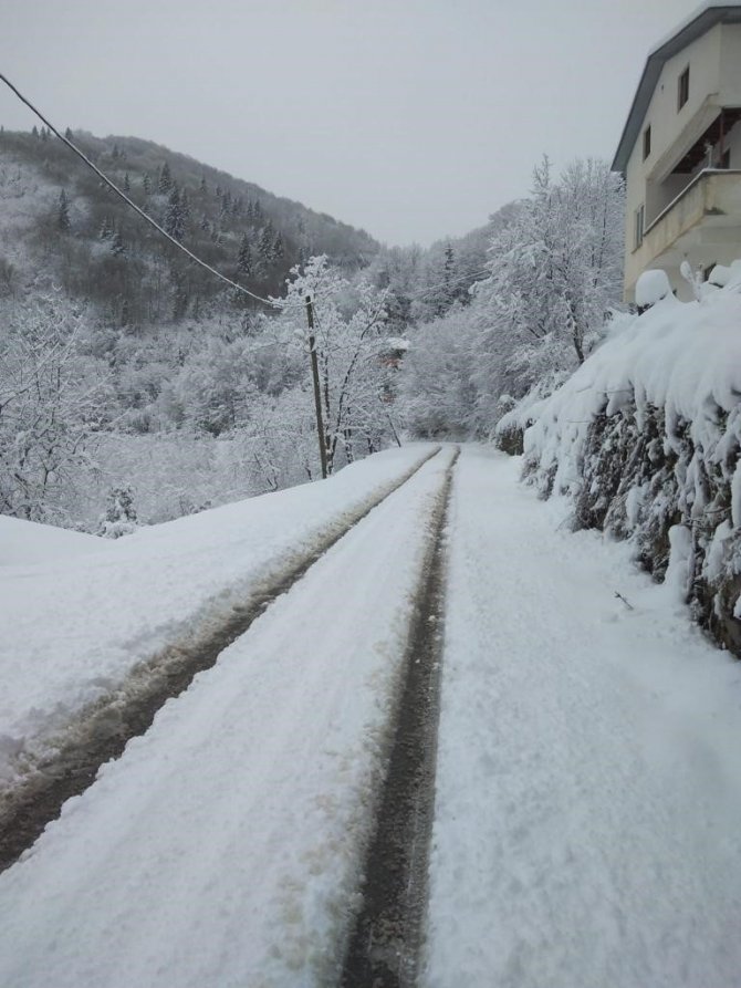 Giresun’da Karla Mücadele Çalışması Başlatıldı