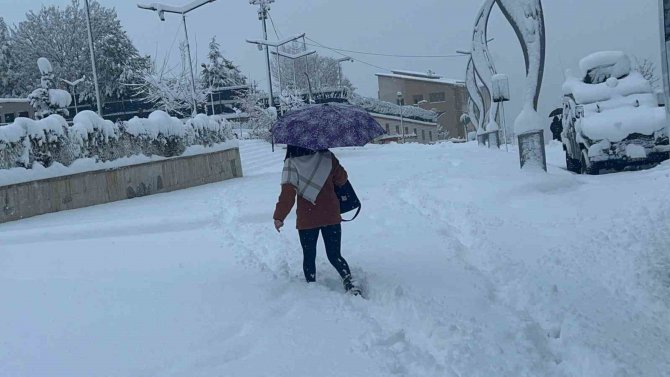 Hakkari’de 365 Yerleşim Yerinin Yolu Ulaşıma Kapandı