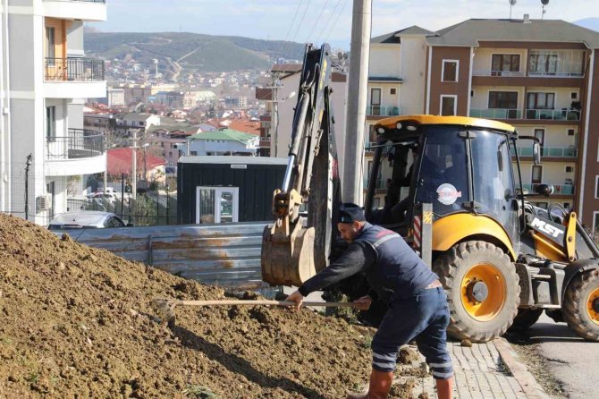 2 Mahalleye 118 Fidan Dikildi