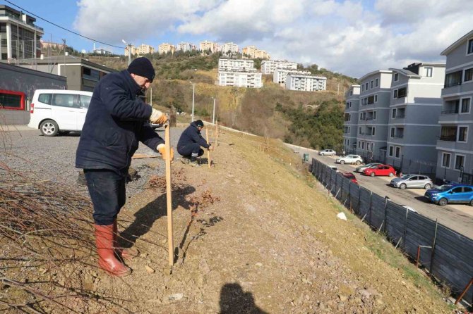 2 Mahalleye 118 Fidan Dikildi