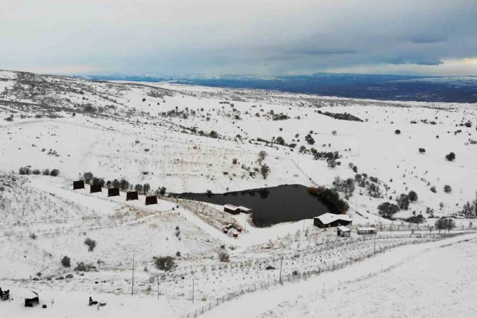 Karın Keyfini Dinek Dağı’nda Çıkardılar