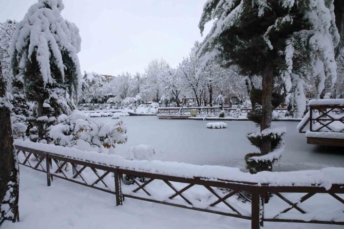Malatya’da Kayısı Bahçeleri Beyaz Gelinliğini Giydi