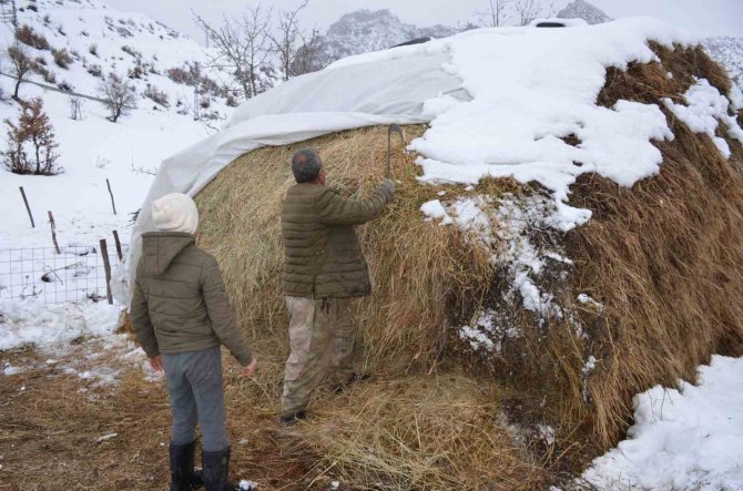 Şırnaklı Besilerin Ömrü Yazın Yaylada, Kışın İlçede Geçiyor