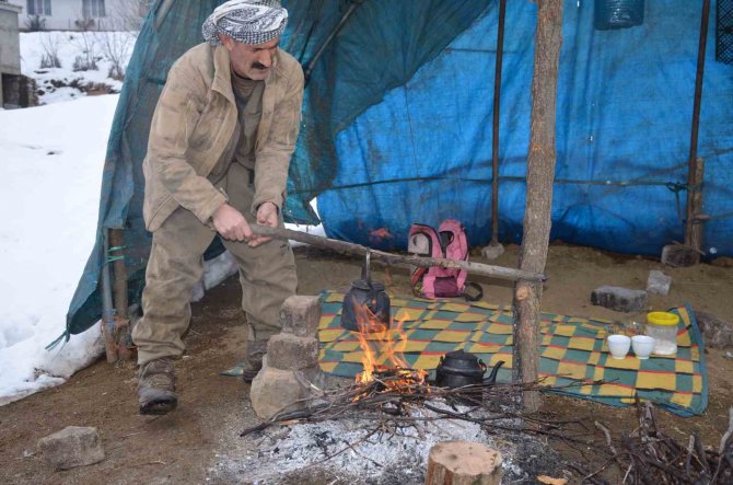 Şırnaklı Besilerin Ömrü Yazın Yaylada, Kışın İlçede Geçiyor