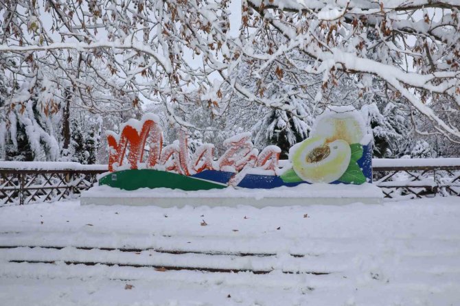 Malatya’da Kayısı Bahçeleri Beyaz Gelinliğini Giydi