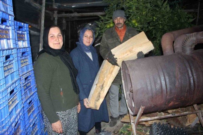 Türkiye ‘Buz’ Kesti, Antalyalı Çiftçi Don Nöbetine Başladı