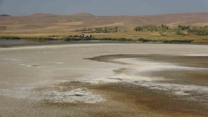 Prof. Dr. Aslan: “Sulak Alanlar Biyolojik Arıtma Tesisleridir”