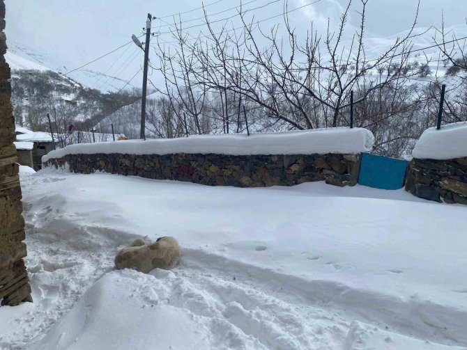 Bahçesaray’da Kar Yağışı