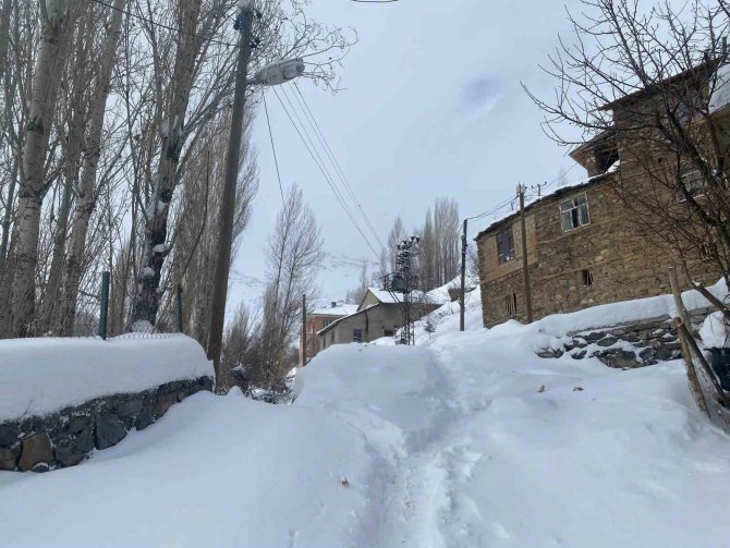 Bahçesaray’da Kar Yağışı