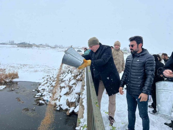 Çaldıran’da Yaban Hayvanları İçin Yemleme Çalışması Yapıldı