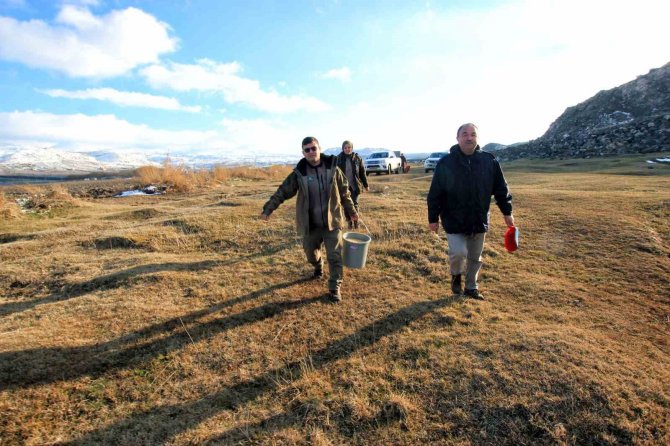 Hürmetçi Sazlığı’nda Yemleme Çalışması Yapıldı