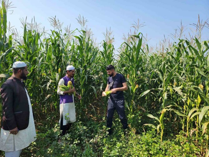 Sivaslılar Bangladeşlilere Tarım Öğretiyor