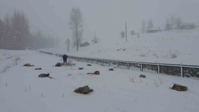 Bingöl’de Besicilerin Zorlu Kış Şartlarıyla Mücadelesi