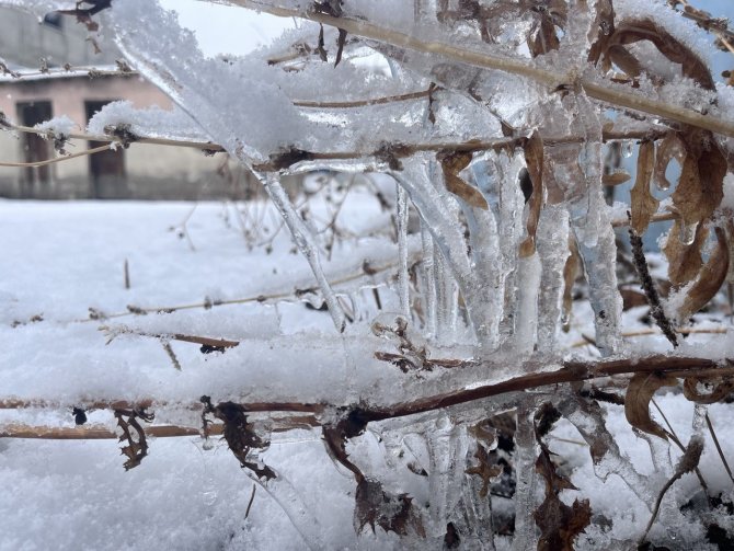 Ağrı, Beyaz Örtüsüyle Göz Kamaştırıyor