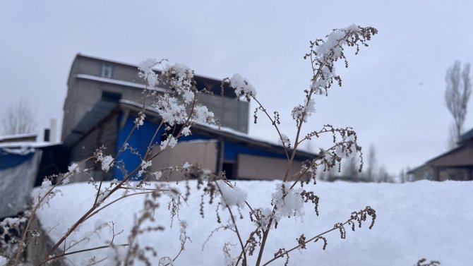 Ağrı, Beyaz Örtüsüyle Göz Kamaştırıyor