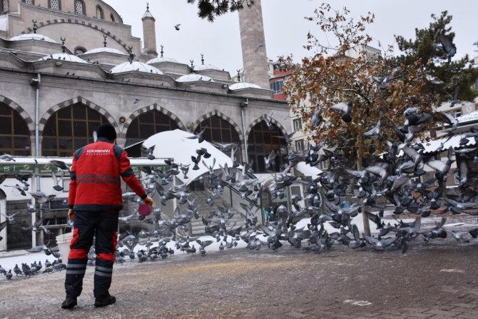 Kocasinan’dan Soğuk Havada Sokak Hayvanları İ̇çin Yemleme Çalışması