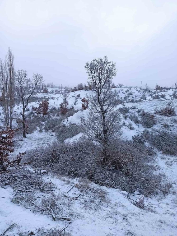 Selendi Güne Karla Uyandı