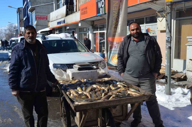 Murat Nehri’nde Balık Bolluğu