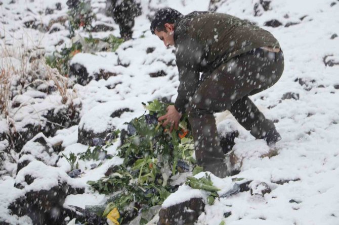 Kırsalda Kar Esareti Devam Ederken Yaban Hayvanları Unutulmadı