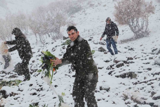 Kırsalda Kar Esareti Devam Ederken Yaban Hayvanları Unutulmadı