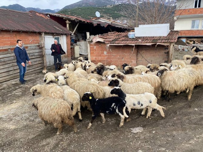 Keçileri Yanan Çiftçiye Destek Gecikmedi