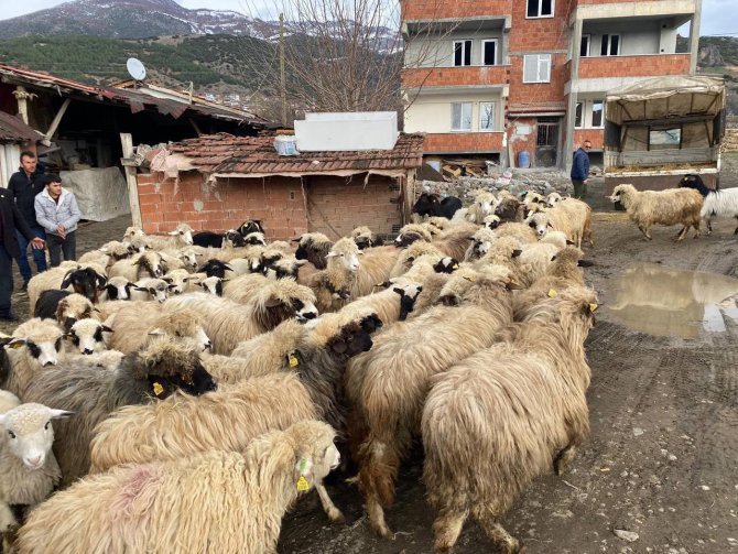 Keçileri Yanan Çiftçiye Destek Gecikmedi