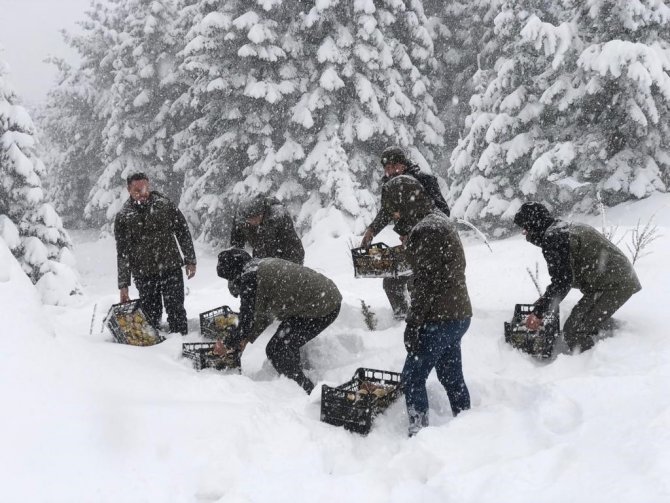 Uludağ Milli Parkı’nda Yaban Hayvanları Unutulmadı