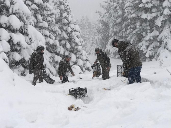 Uludağ Milli Parkı’nda Yaban Hayvanları Unutulmadı