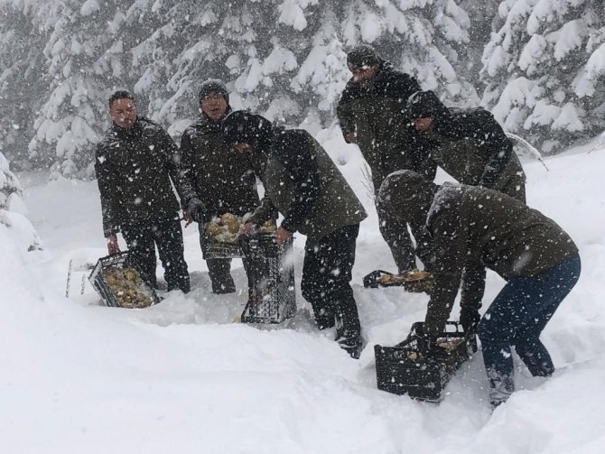 Uludağ Milli Parkı’nda Yaban Hayvanları Unutulmadı