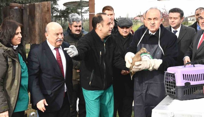 Hersek Lagünü’nde Dünya Sulak Alanları Günü Kutlandı