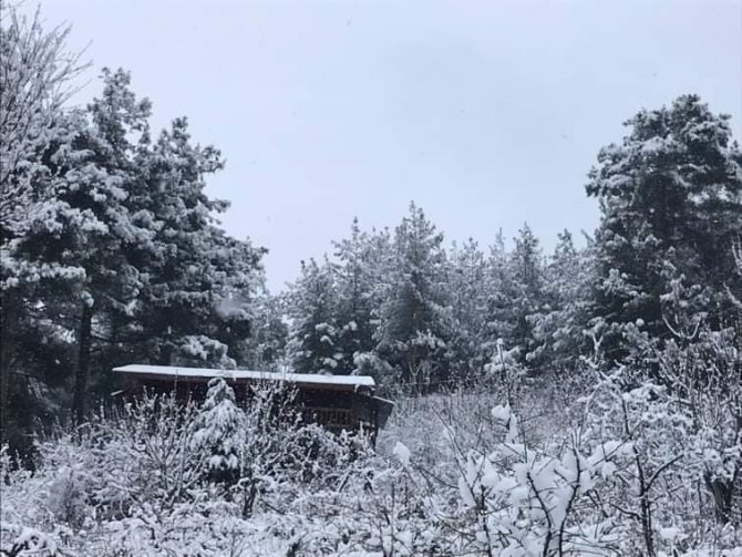 Adana’nın Kuzey İlçeleri Güne Karla Uyandı