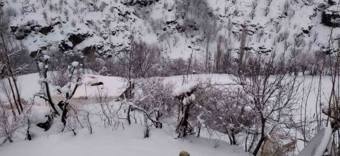 Batman’da Kar Yağışıyla Birlikte 48 Yerleşim Yerine Ulaşım Sağlanamıyor