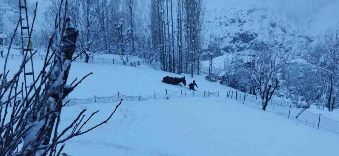 Batman’da Kar Yağışıyla Birlikte 48 Yerleşim Yerine Ulaşım Sağlanamıyor